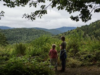 Cottage Champdray Umgebung 6