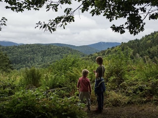 Holiday cottage Champdray Environment 6