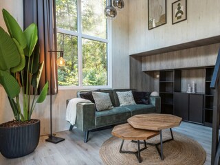 Chalet Ruinen Features 2