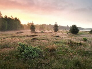 Chalet Ruinen Environment 11