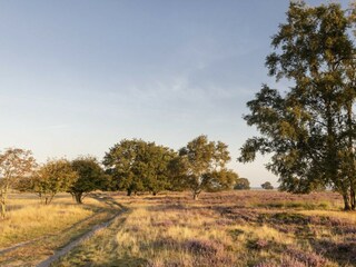 Chalet Ruinen Umgebung 13