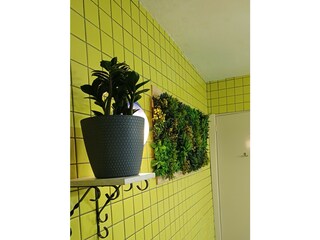 Apartment Jan Thiel Features 12