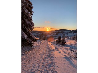 Ferienwohnung Todtnau Umgebung 14