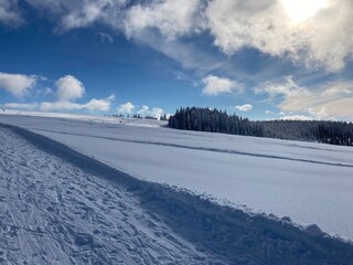 Vakantieappartement Todtnau Omgeving 17