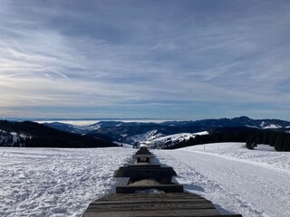 Vakantieappartement Todtnau Omgeving 18