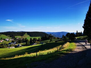 Vakantieappartement Todtnau Omgeving 19