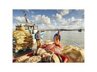 Holiday house Erquy Outdoor Recording 4