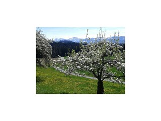 Apartamento Oberreute  15