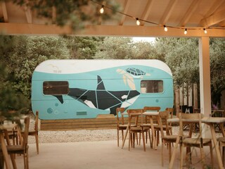 Chalet Miami Playa Omgeving 30