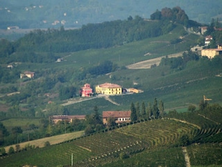 Cottage Calamandrana Environment 9