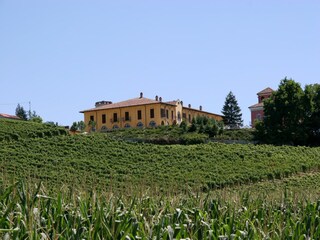 Casa de campo Calamandrana Grabación al aire libre 6