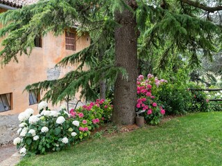 Casa de campo Ovada Grabación al aire libre 4