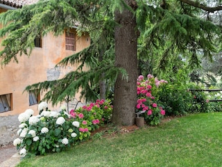 Landhaus Ovada Außenaufnahme 4