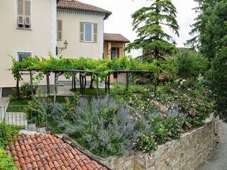 Casale Ovada Registrazione all'aperto 8