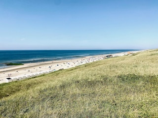 Ferienhaus Callantsoog Umgebung 31
