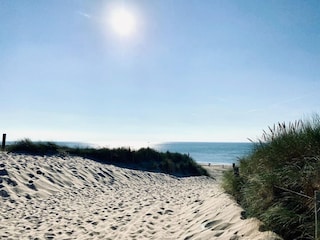 Ferienhaus Callantsoog Umgebung 32