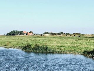 Ferienhaus Callantsoog Umgebung 33