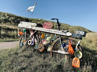Vakantiehuis Callantsoog Omgeving 32