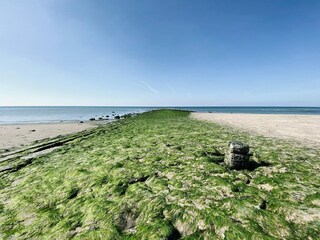 Vakantiehuis Callantsoog Omgeving 28