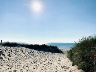 Maison de vacances Callantsoog Environnement 31