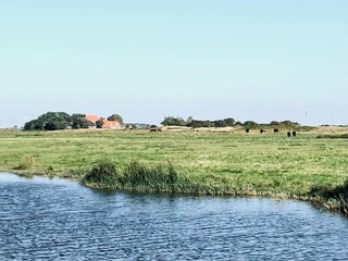 Vakantiehuis Callantsoog Omgeving 32