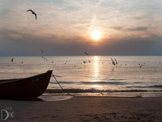 Casa per le vacanze Egmond aan Zee Ambiente 12