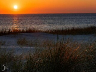Ferienhaus Egmond aan Zee Umgebung 18