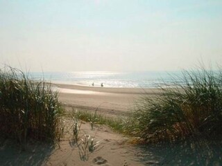 Holiday house Egmond aan Zee Environment 21