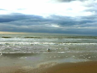 Casa de vacaciones Egmond aan Zee Entorno 21