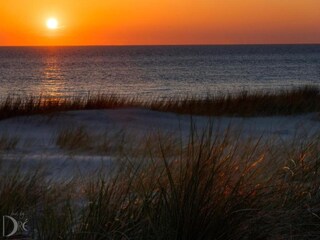 Holiday house Egmond aan Zee Environment 36
