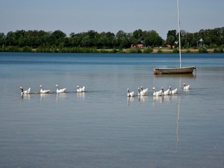 Casa per le vacanze Heel Ambiente 17