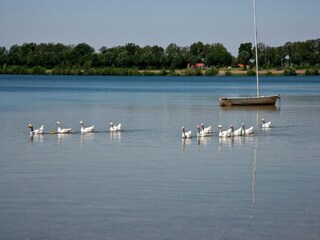 Vakantiehuis Heel Omgeving 17