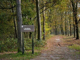 Vakantiehuis Heel Omgeving 19