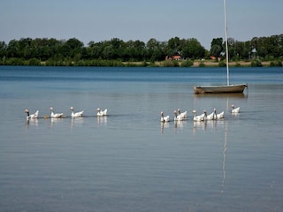 Ferienhaus Heel Umgebung 29
