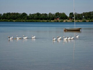 Holiday house Heel Environment 15