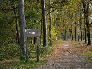 Maison de vacances Heel Environnement 17