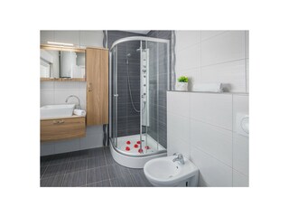 Villa Galižana Features 11