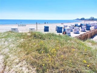 Badestrand im Ostseebad Damp an der Ostsee