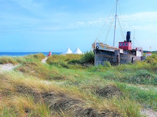 Schiff Albatros in den Dünen vom Ostseebad Damp