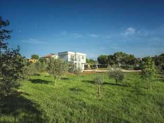 Ferienhaus Galižana Außenaufnahme 15