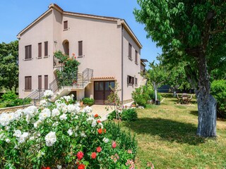 Apartment Dračevac Außenaufnahme 1