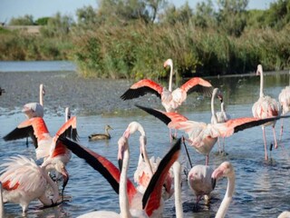 Casa per le vacanze Crone di Idro Ambiente 20