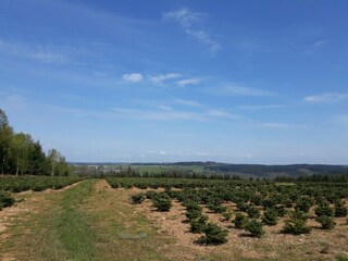 Appartamento Vresse-sur-Semois Ambiente 19