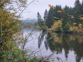 Appartement Vresse-sur-Semois Omgeving 22