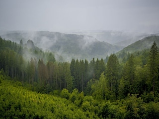 Apartment Vresse-sur-Semois Umgebung 18