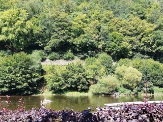 Appartamento Vresse-sur-Semois Ambiente 13