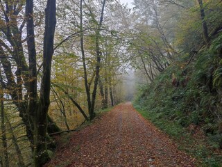 Appartamento Vresse-sur-Semois Ambiente 14