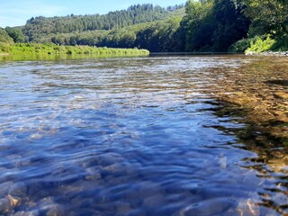 Appartement Vresse-sur-Semois Omgeving 16