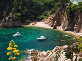 Chalet Blanes Environment 11