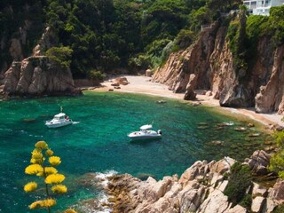 Chalet Blanes Environnement 11